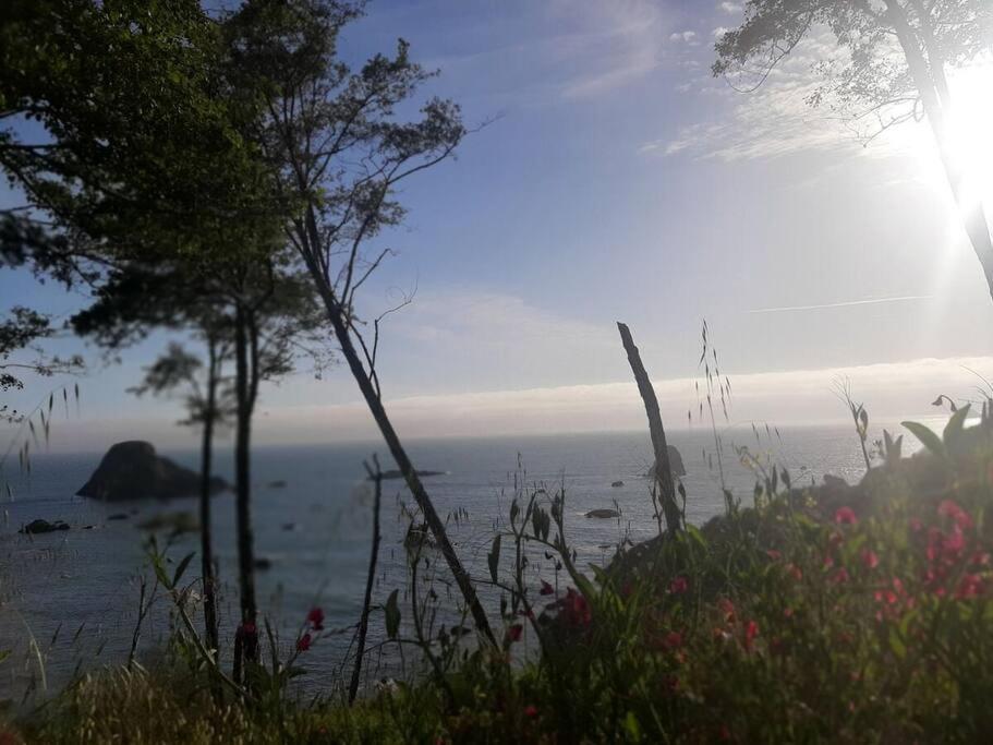 Ocean View Village Condo With Trails To Beaches Trinidad Luaran gambar